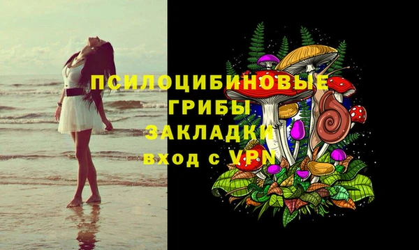 шишки Карпинск