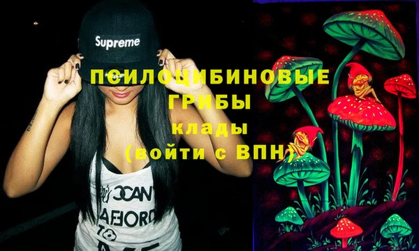 MDMA Premium VHQ Каменногорск