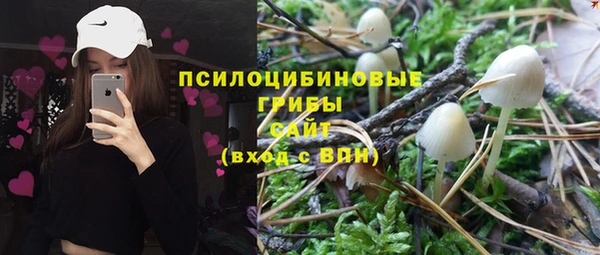MESCALINE Каменка
