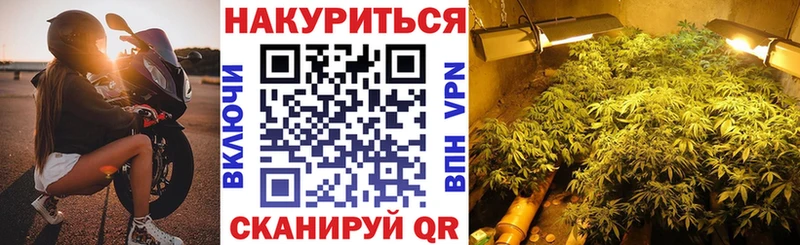 Бошки марихуана Amnesia  Купить  Задонск 